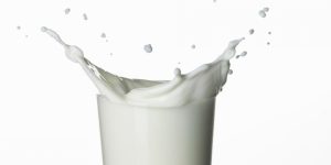 В сентябре в России начнется эксперимент по маркировке молока
