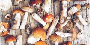 Новые стандарты