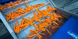 Посторонние включения